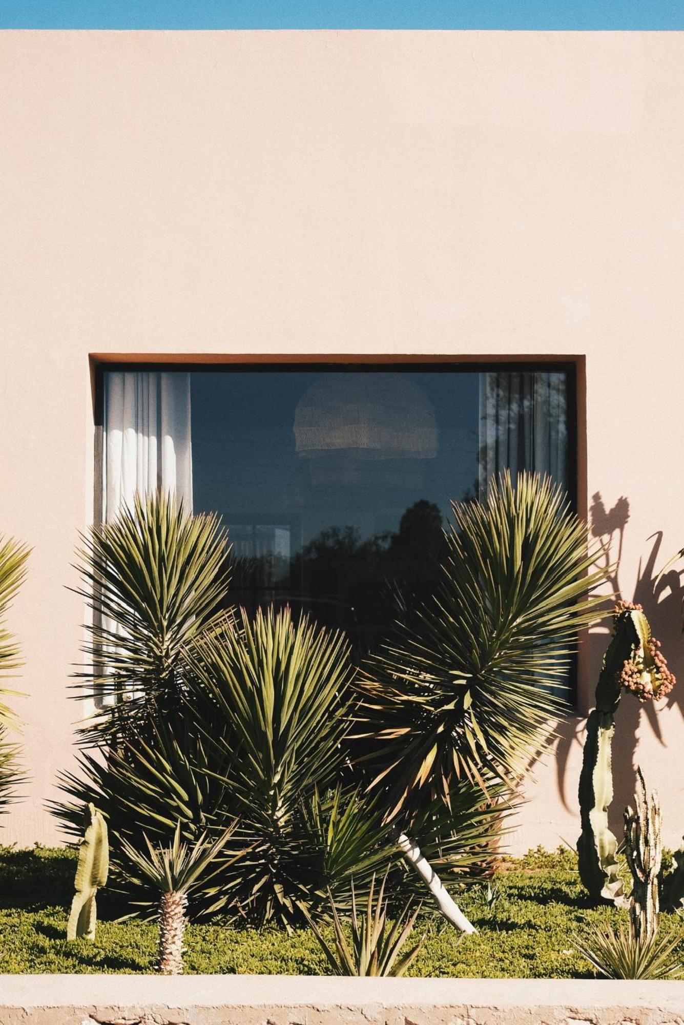 Dar Almajula Hotell Essaouira Exteriör bild